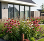 tuinpakket floortje met salie rechts en struisriet op achtergrond