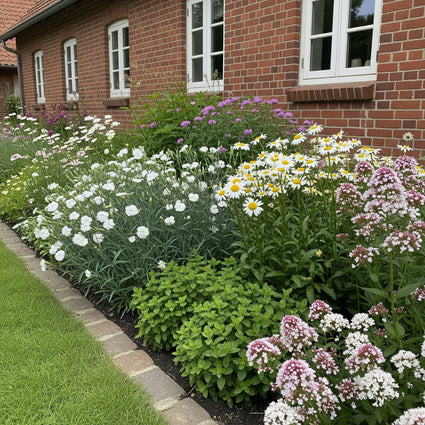 Borderpakket Jop - Inheemse vaste planten - wit & roze - per m2