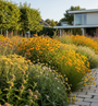 Borderpakket Liza - Vaste planten Geel - Prairietuin - Zon