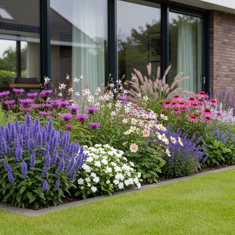 Borderpakket biologische tuinplanten per m2 online kopen