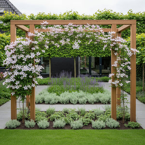 Wintergroene Bosrank (Roze) - Clematis armandii 'Apple Blossom'