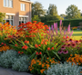 crocosmia emliy mckenzie met Nagelkruid 'Geum', rode zonnehoed,

Duizenblad 'Achillea' feuerland

Dropplant 'Agastache'

Kattenkruid 'Nepeta' aan de rand