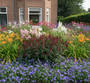  persicaria blackfield met Klokjesbloem 'Campanula' als randbeplanting

Spierstruik 'astilbe' of Pluimspirea's

Brandkruid 'Phlomis'

Daglelie 'Hemerocallis' er naast

Dropplant 'Agastache' 

Herfstasters 'Asters'

Ooievaarsbek 'Geranium'

Zonnehoed 'Echinacea' 

Herstanemoon 'Anemone'