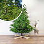 Echte kerstboom met Gratis Easyfix houten standaard - Nordmann gezaagd + Easyfix boorgat