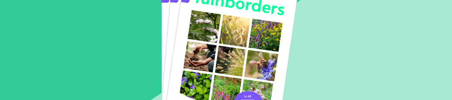 magazine vol tips voor tuinborders inrichten met planten