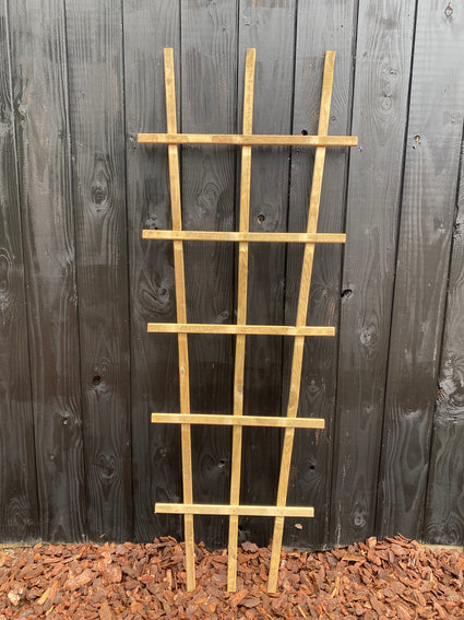 Set 12 stuks - Houten Klimplant rek 180 x 70 cm van 3 cm dik geimpregneerd hout FSC
