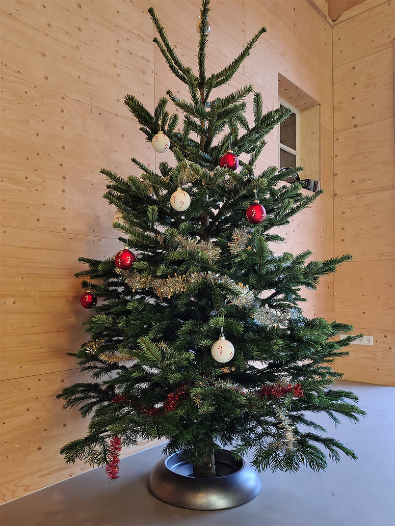 Triumph Tree Abies Nordmann Deluxe Kunstkerstboom - 260 X 175 Cm Forest Blue Triumph Tree Abies Nordmann Deluxe Kunstkerstboom - 260 X 175 Cm Forest Blue