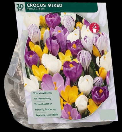 Grootbloemige Krokus bloembollen 90 stuks - Crocus gemengde kleuren