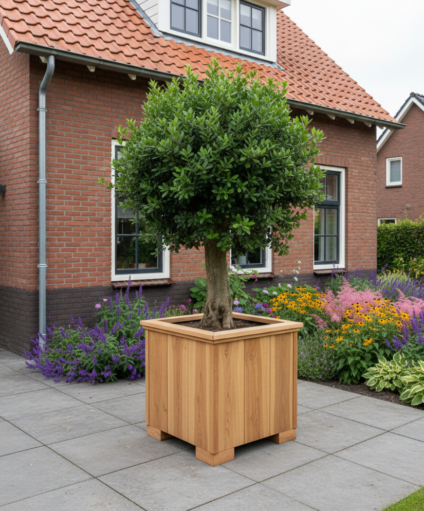 Plantenbak Hardhout Kubus 43 x 48 x 47 cm Kant en Klaar