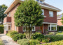 Groene Hulst - Ilex 'Nellie R. Stevens' meerstammig