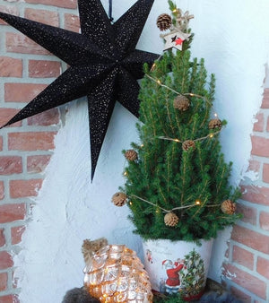 70 Cm met echte verlichting en dennenappel versiering