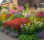 Persicaria amplexicaulis 'Taurus' met Ooievaarsbek 'Geranium'

Herfstasters

Zilverkaars 'Actaea'

Vlambloem 'Phlox'

Rode, Witte of Groene Zonnehoed 'Echinacea'

Gele Zonnehoed 'Rudbeckia'

Kogeldistel 'Echinops' 

Kattenkruid 'Nepeta' 

Vrouwenmantel 'Alchemilla

Dropplant 'Agastache' (ernaast)

Siergrassen als Vingergras 'Panicum', Struisriet 'Calamagrostis' en Pijpestrootje 'Molinia'.