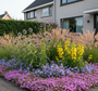 Phlox subulata 'Atropurpurea' in border met Brandkruid 'Phlomis' geel

Kogeldistel 'Echinops' TIP

IJzerhard 'Verbena' helemaal achteraan

 Lampenpoetsergras 'Pennisetum' Pijpestrooje 'Molinia'

Klokjesbloem 'Campanula' randbeplanting