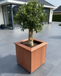 hardhout plantenbak xl vierkant extra groot