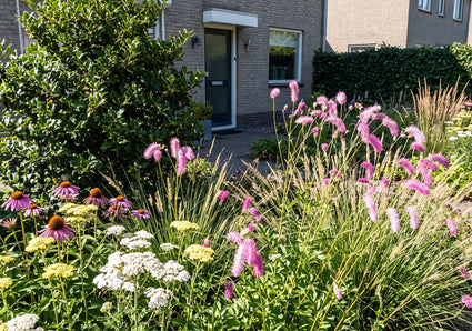 Sanguisorba 'Pink Brushes' met pijpestrootje molinia, Duizendblad (Achillea) Zonnehoed (Echinacea purpurea) en groene hulst ilex aquifolium op achtergrond
