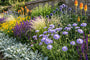 scabiosa cauc. perfecta in border met 'Salvia' mainacht,

Vedergras 'Stipa' siergras

Kogeldistel 'Allium'

Meisjesogen 'Coreopsis'

Ezelsoor Stachys 'Big Ears' aan de rand en

Vuurpijl (Kniphofia) 

