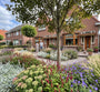 Acer capillipes hoogstam boom in halfzonnige borders met Duizendknoop (persicaria) lisan, Sedum Herbstfreude, Stachys Byzantina en Ooievaarsvek (geraniums) Rozanne en Lampenpoetsersgras 'Pennisetum' hameln