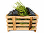 Struikkamperfoelie -  Lonicera nitida - C1.5 pot aanbieding 80 stuks