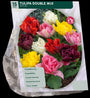 Bloembollen Tulpen 45 stuks gemengd - Tulipa Double Mix