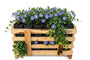 Biologisch Kleine maagdenpalm - Vinca minor aanbieding 120 stuks (ca 10m2)