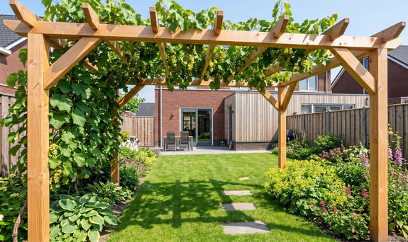 Witte druif - Vitis 'Vroege van der laan'