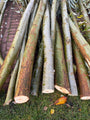 Wilgentakken staanders - Bundel 8 stuks - Diameter ca 6-8 cm. - Lengte 2 meter