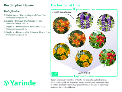 Beplantingsplan borderpakket Hanne