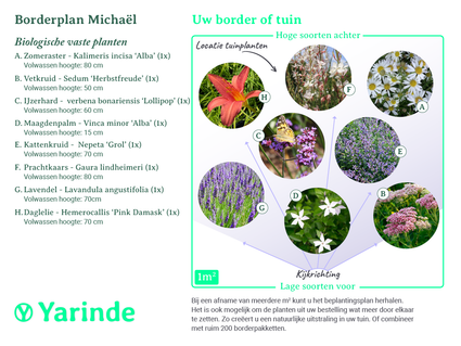 Beplantingsplan Michaël - langbloeiend biologische vaste planten