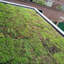 Groen dak met matten sedumdak