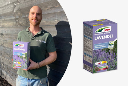 Organische Meststof voor Lavendel planten