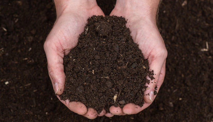 aanplantgrond bodemverbeteraar structuur verbeteren aanplanten tuinplanten mest