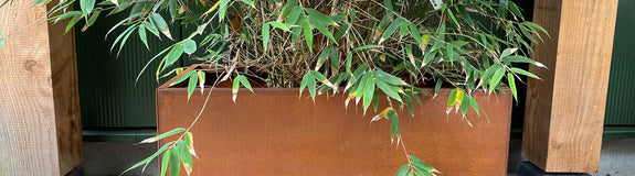 Plantenbak Rechthoek Cortenstaal 60x90x60 cm Wovar