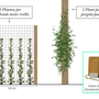 Kies voor 5 clematis planten per strekkende meter of 1 per pergola paal