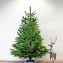 nordmann_echte_kerstboom-2-3-meter.jpeg